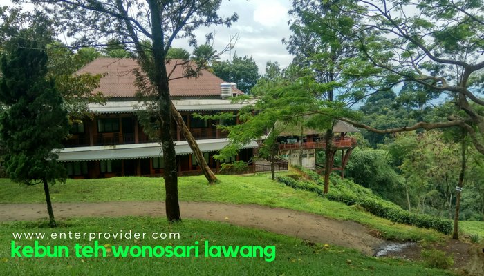 Kebun Teh Wonosari Lawang