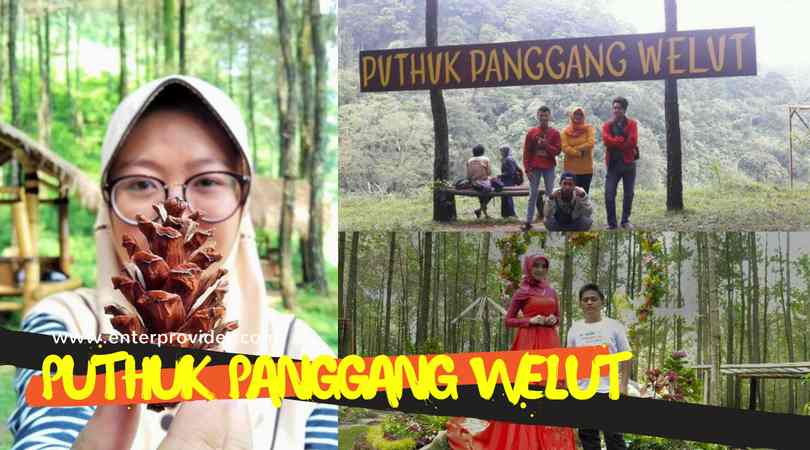 Wisata Pacet